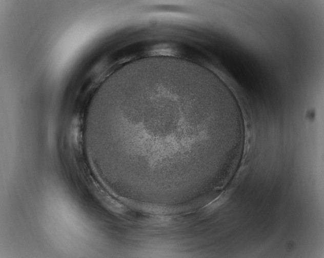 X0000115651438200911241724