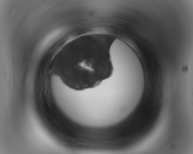 X0000115651439200911241724