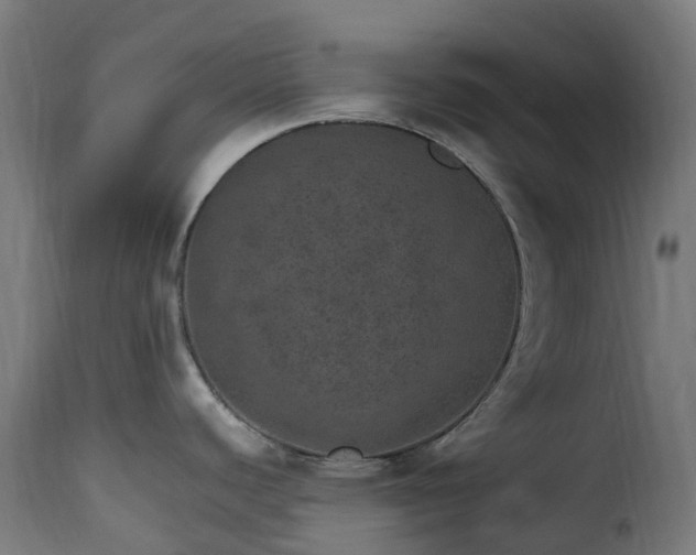 X0000115651440200911241724