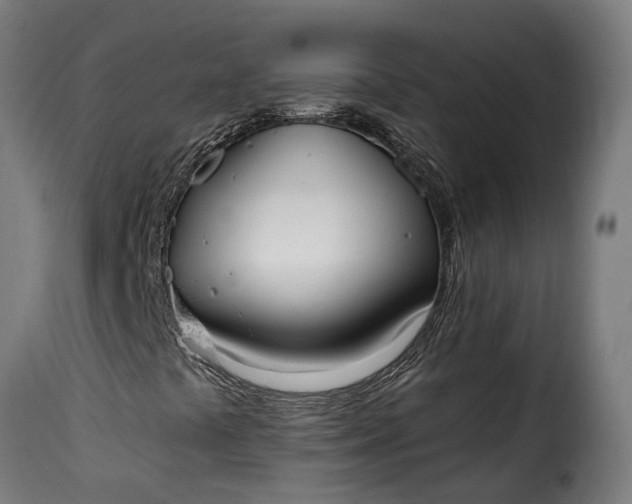 X0000115651441200911241723