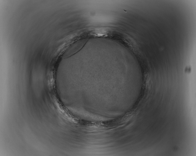 X0000115651442200911241723