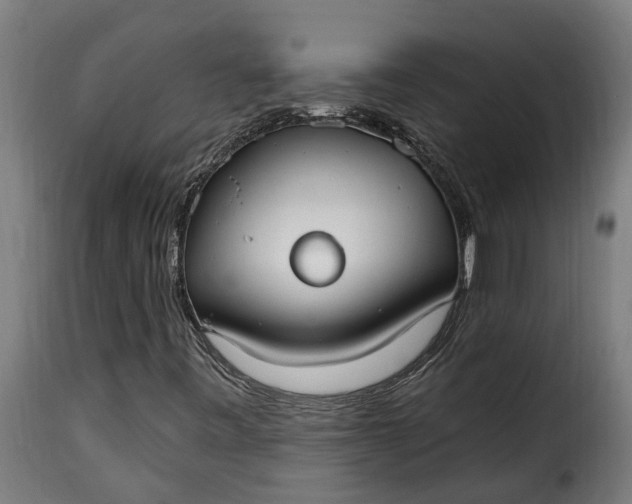 X0000115651443200911241723