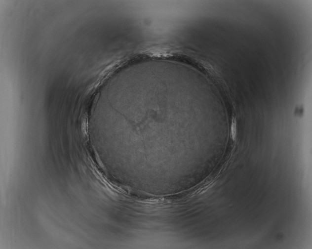 X0000115651444200911241723