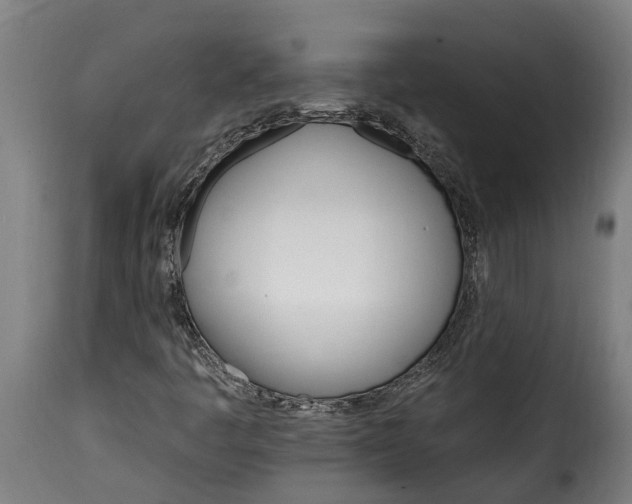 X0000115651445200911241723