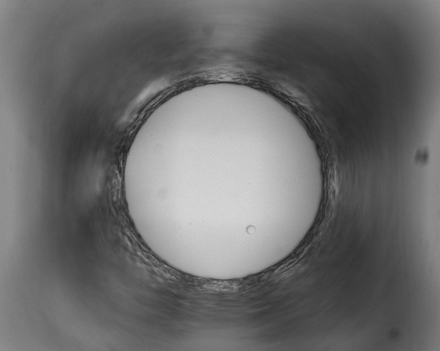 X0000115651446200911241723