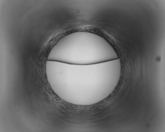 X0000115651447200911241723