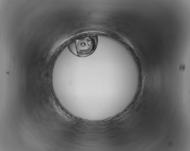 X0000115651448200911241723