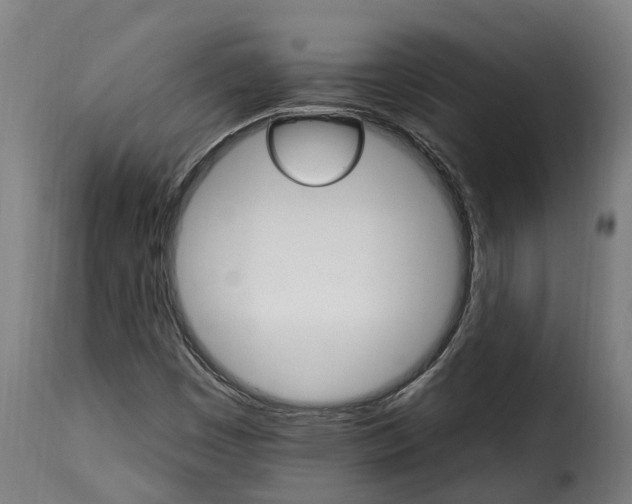 X0000115651449200911241723