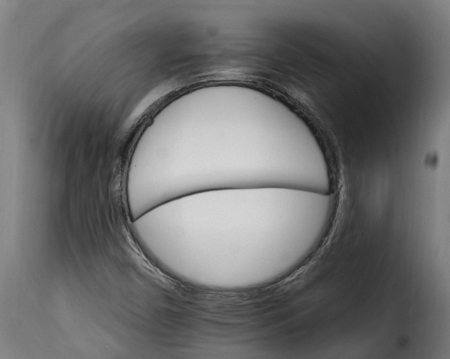 X0000115651450200911241723