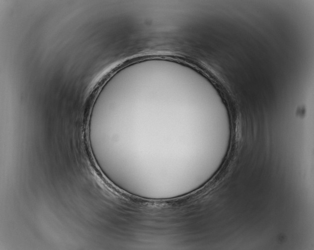 X0000115651452200911241723