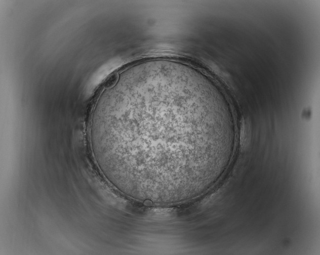 X0000115651453200911241723