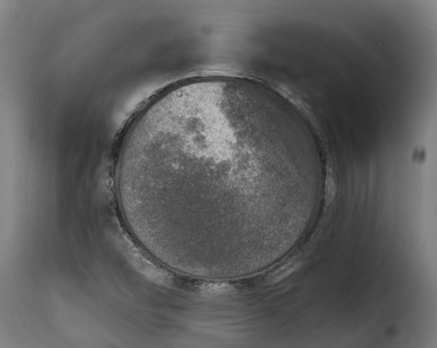 X0000115651454200911241723