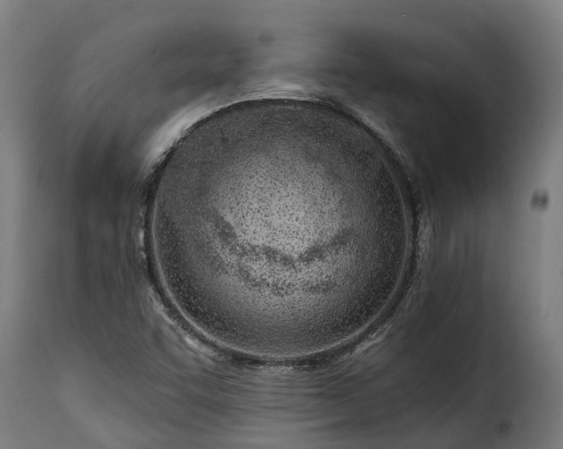 X0000115651455200911241723