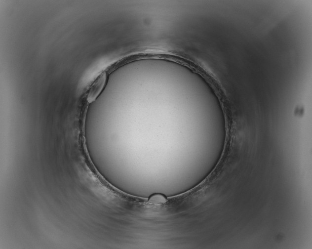 X0000115651456200911241723