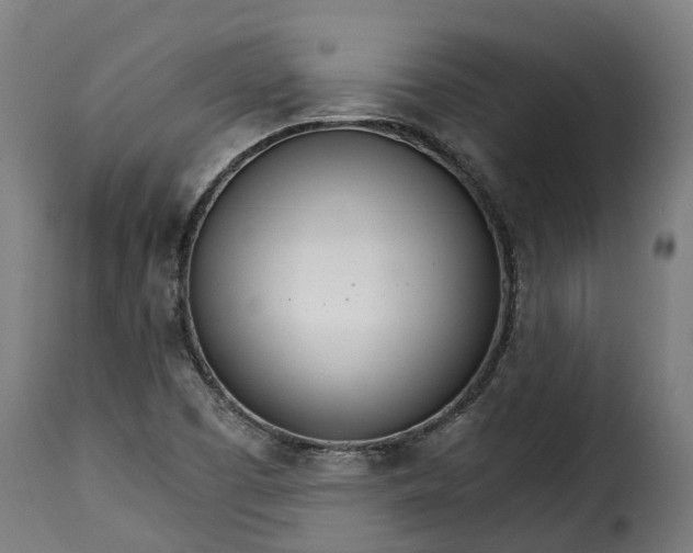 X0000115651457200911241723