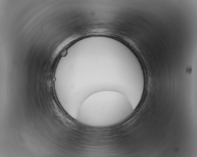 X0000115651458200911241723