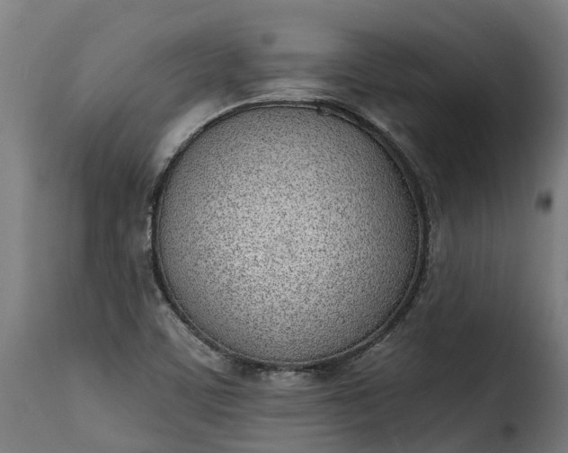 X0000115651459200911241723