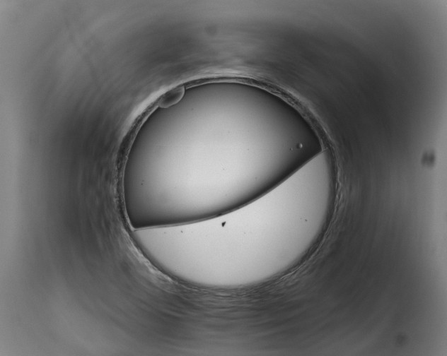 X0000115651460200911241723