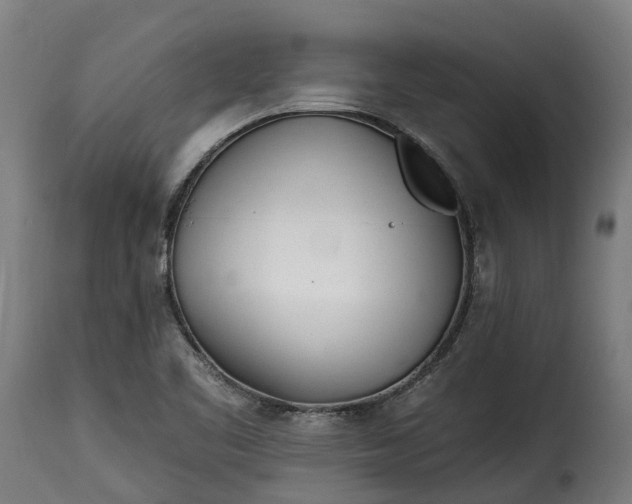 X0000115651461200911241723