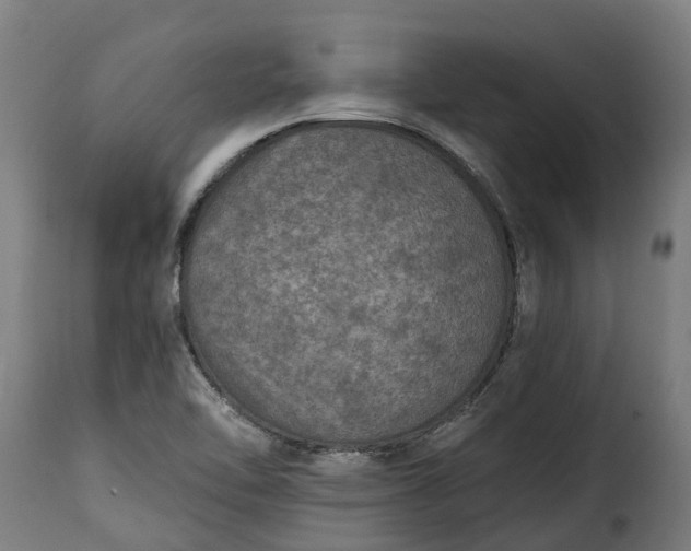 X0000115651462200911241723