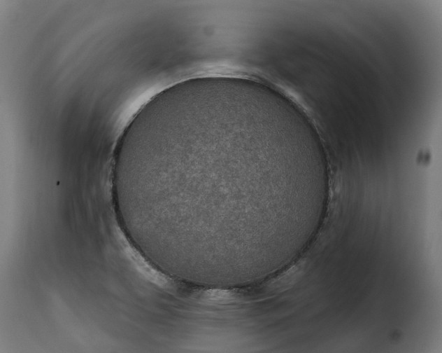 X0000115651463200911241723