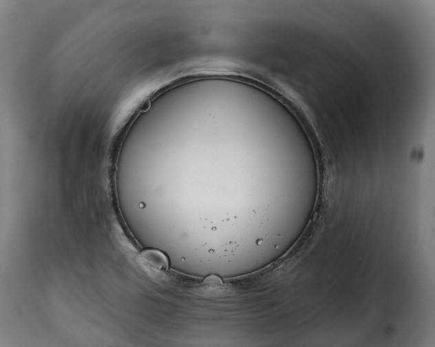 X0000115651464200911241723