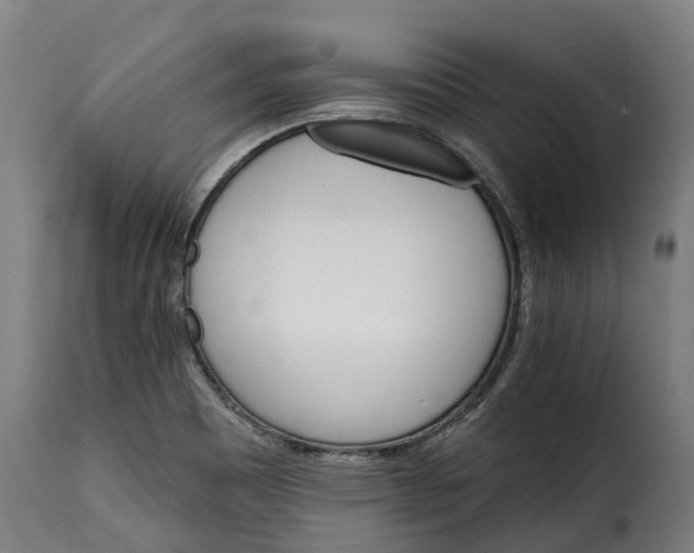 X0000115651465200911241723