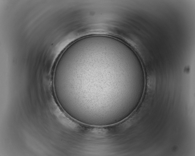 X0000115651466200911241723