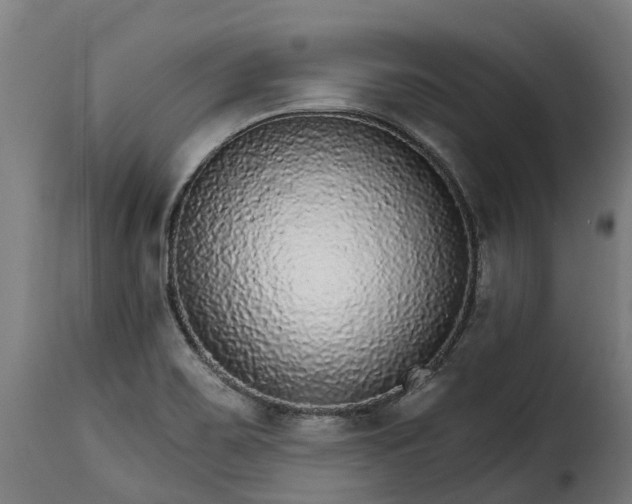 X0000115651467200911241723