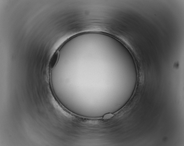 X0000115651468200911241723