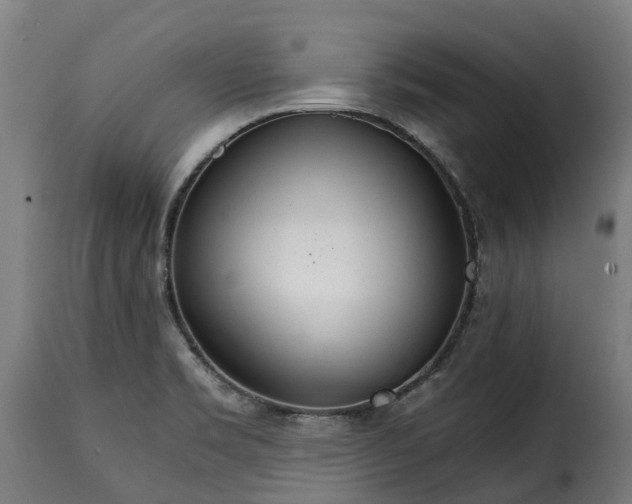 X0000115651469200911241723