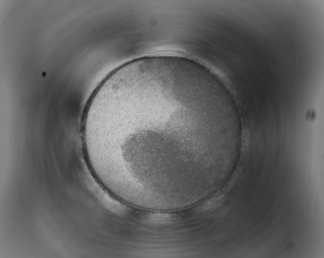 X0000115651470200911241723