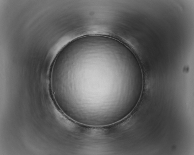 X0000115651471200911241723