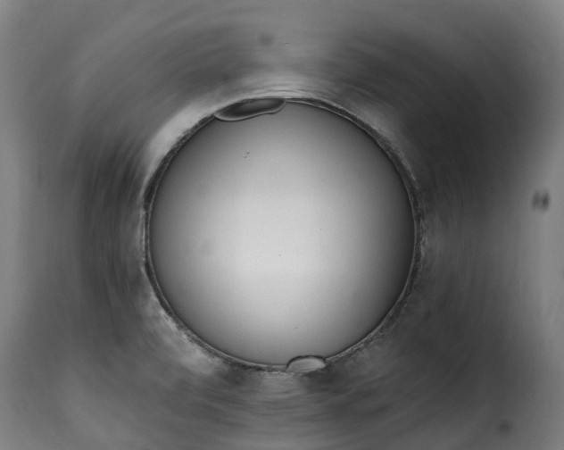 X0000115651472200911241723