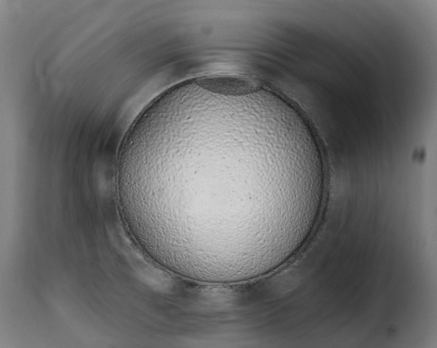 X0000115651473200911241723