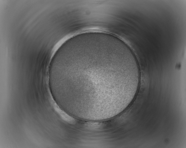 X0000115651474200911241723