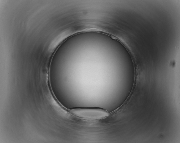 X0000115651476200911241723