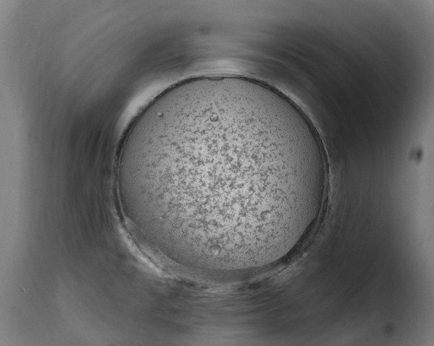 X0000115651477200911241723