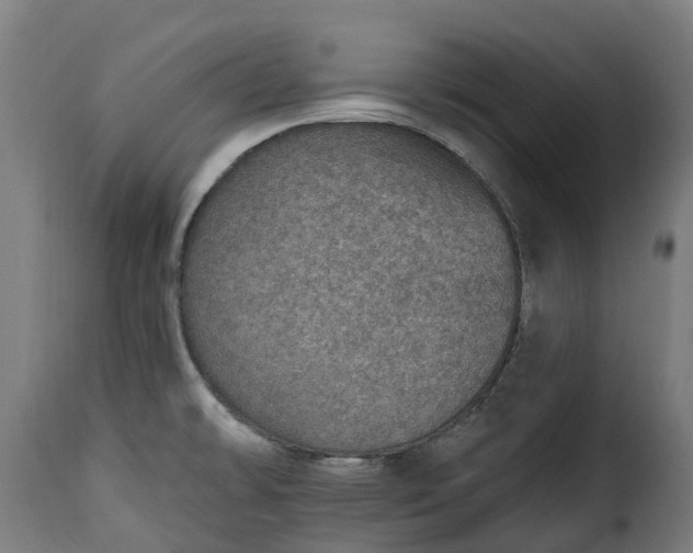 X0000115651478200911241723