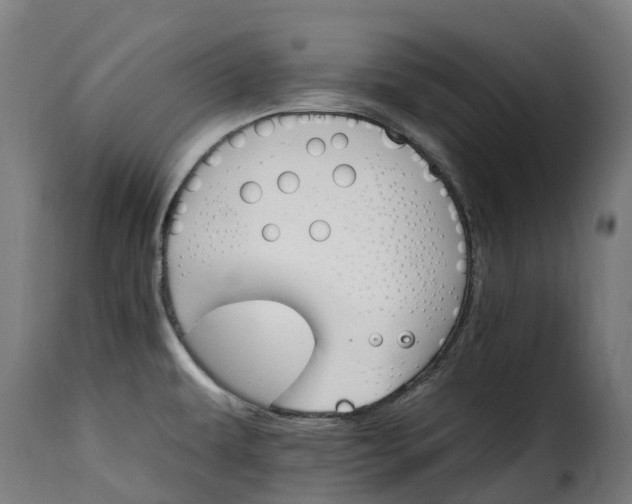 X0000115651479200911241723