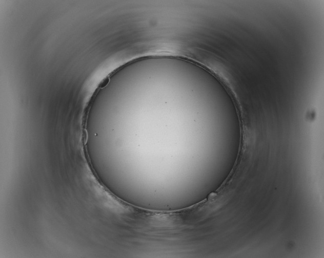 X0000115651480200911241723