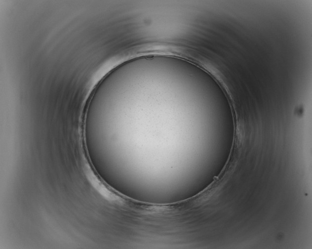 X0000115651482200911241723