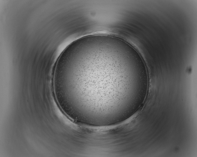 X0000115651483200911241723