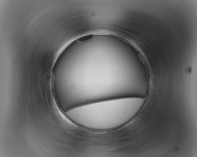 X0000115651484200911241723