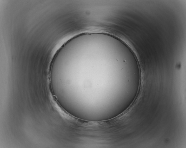 X0000115651485200911241723