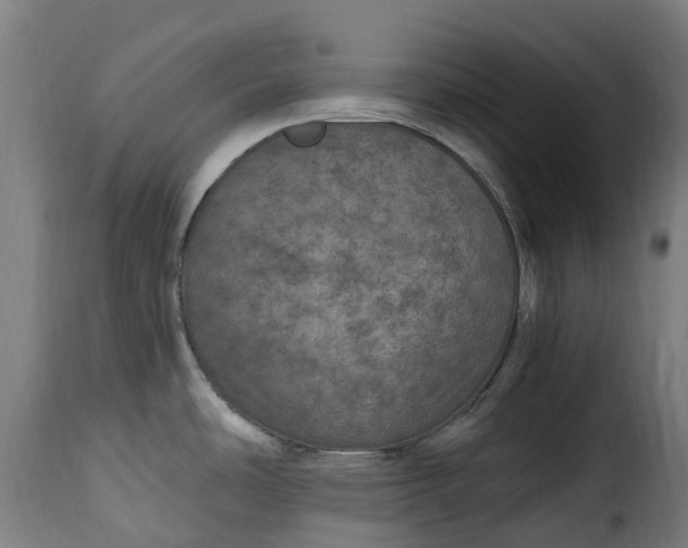 X0000115651486200911241723