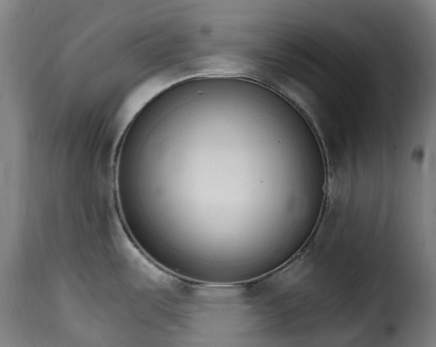 X0000115651487200911241723