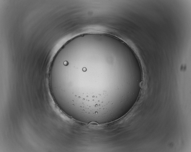 X0000115651488200911241723