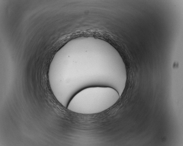 X0000115651489200911241722