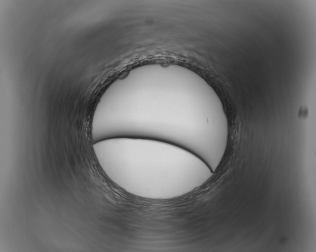 X0000115651490200911241722